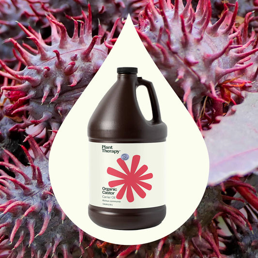 Organic Castor Carrier Oil Bulk