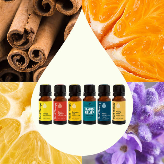 Top 6 Blends Set